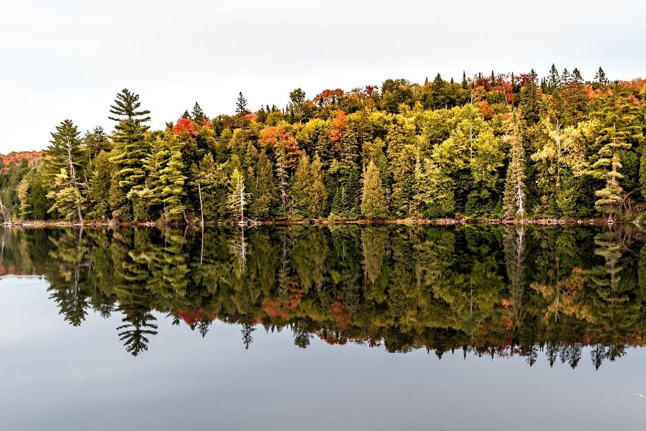 Ontario