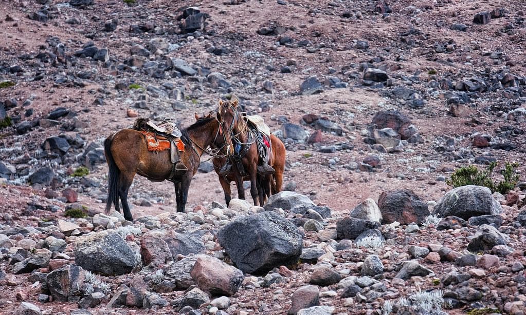 Chimborazo Province