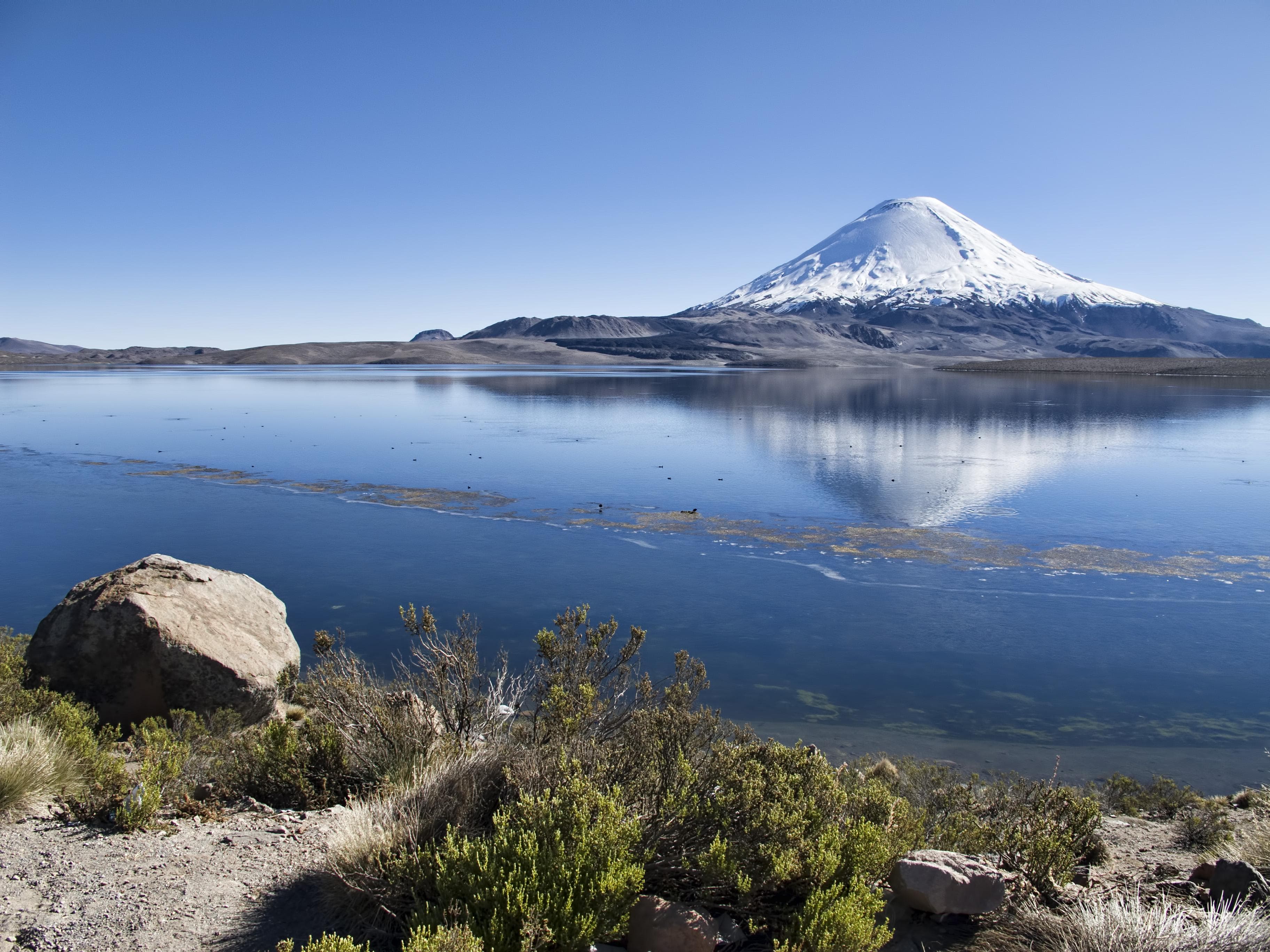 Arica and Parinacota Region