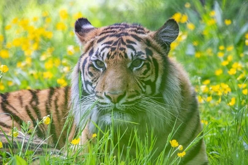 Paignton Zoo Environmental Park