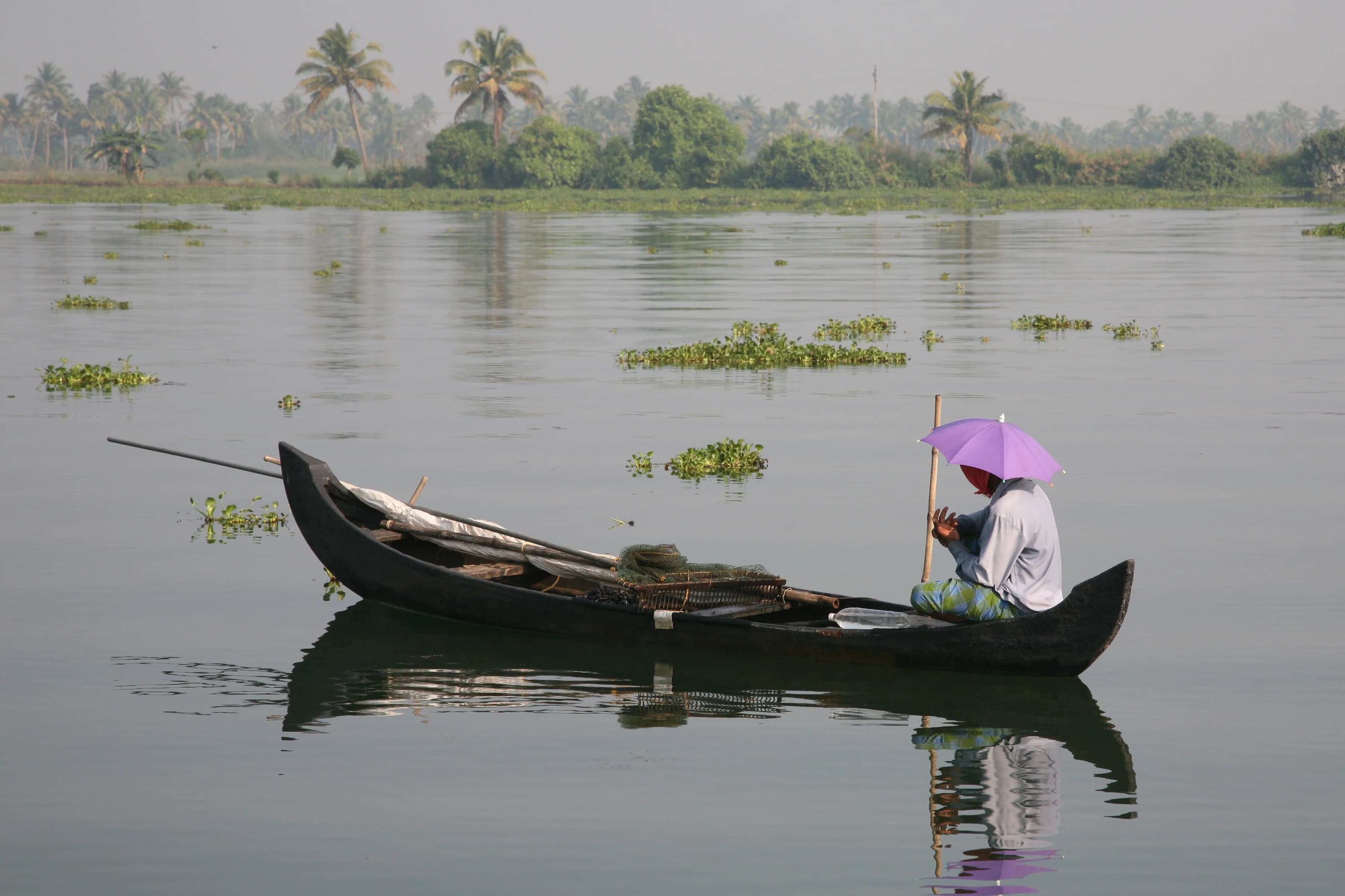 A narrow passenger boat travels through green Kerala backwaters past palms and waterside homes.