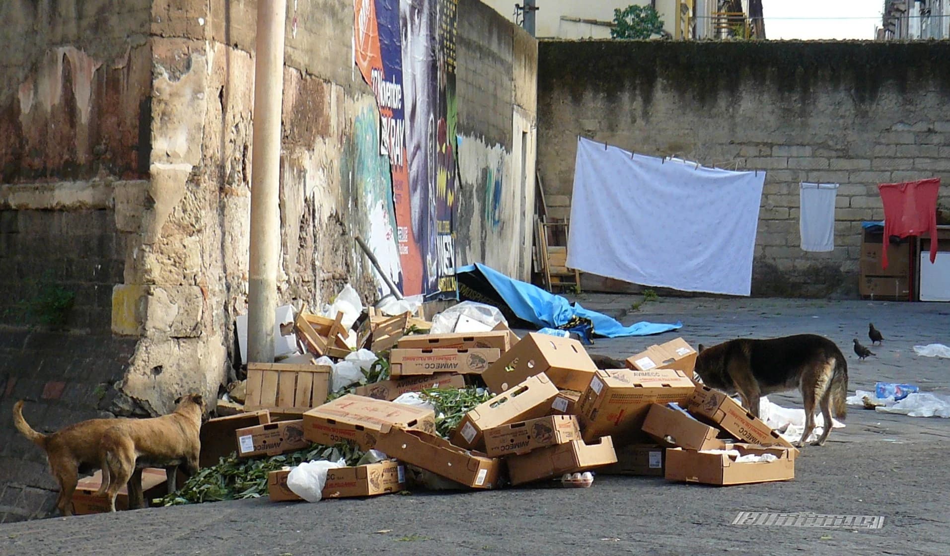 A busy produce market in Palermo with colourful fruit and vegetables arranged beneath striped awnings.